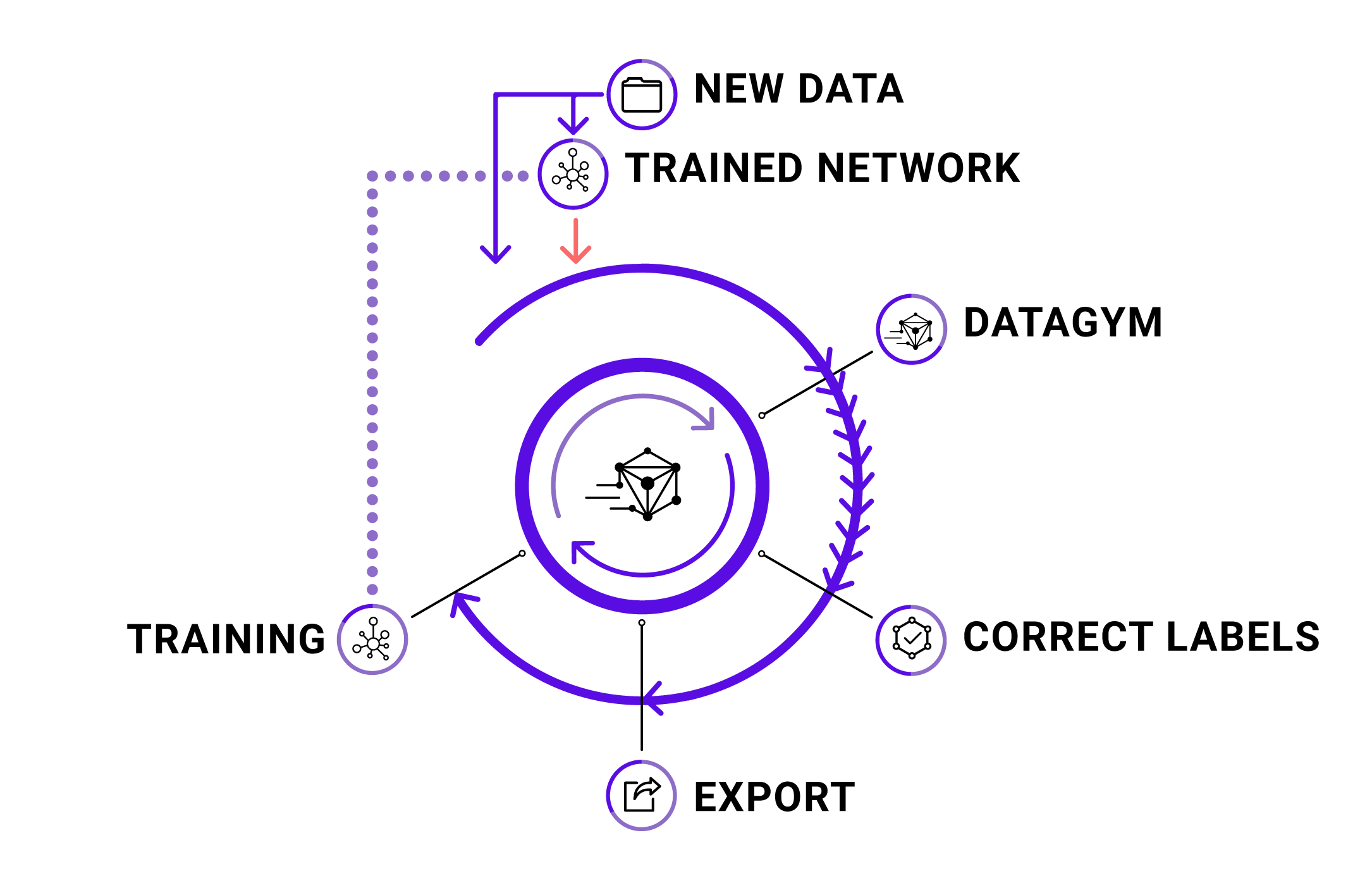 Your labeled data helps you train your network which in turn accelerates the label step through the upload of network predictions as pre-label.